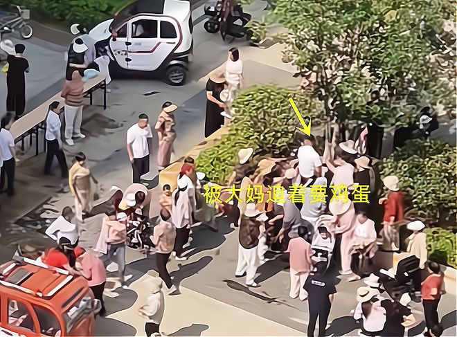 包粽子大妈连盆都端走了还围堵物业要鸡蛋mg不朽情缘游戏试玩山东：小区端午免费(图2)